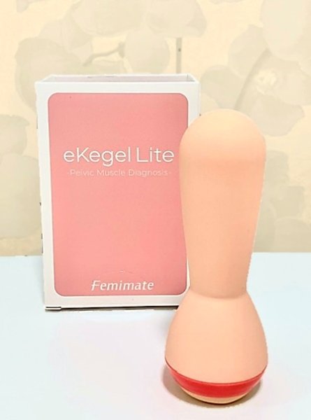画像1: eKegel Lite（イーケーゲルライト） (1)
