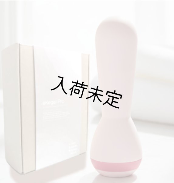 画像1: eKegel Pro（イーケーゲルプロ） (1)